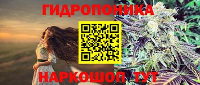 спиды Бузулук