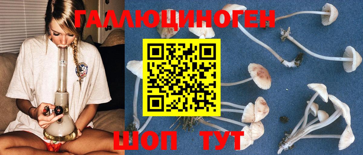 Галлюциногенные грибы GOLDEN TEACHER Мурино