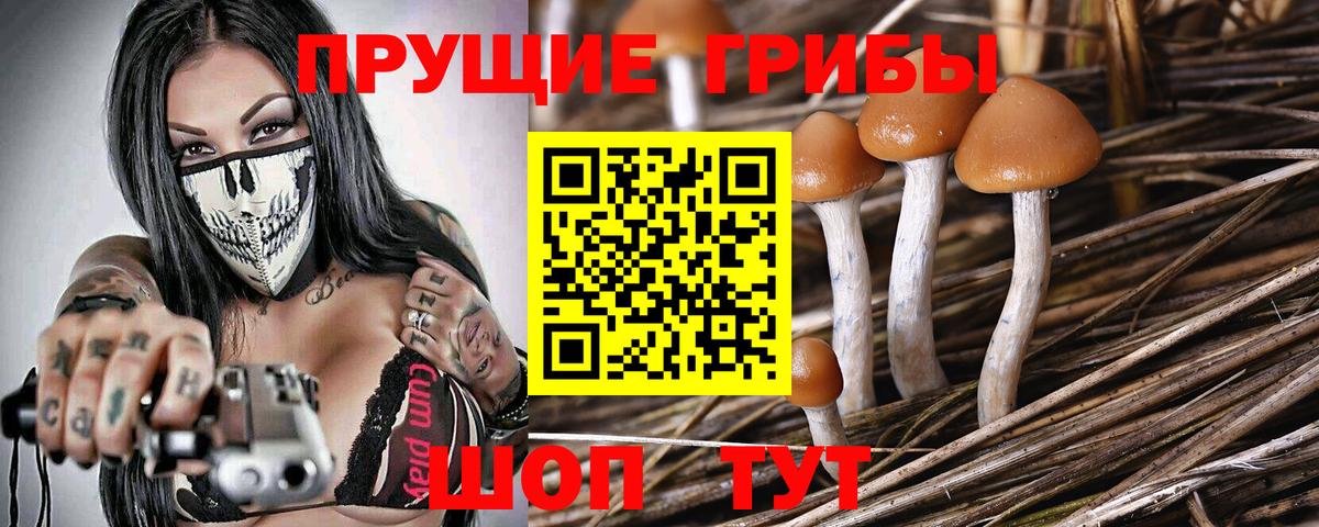 Галлюциногенные грибы мухоморы  Вход с VPN  Мурино 